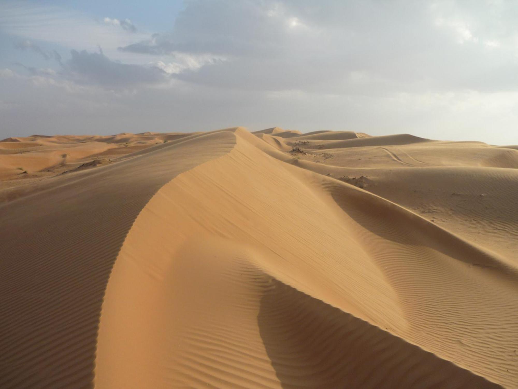 Desert Retreat Camp Al Wāşil Esterno foto